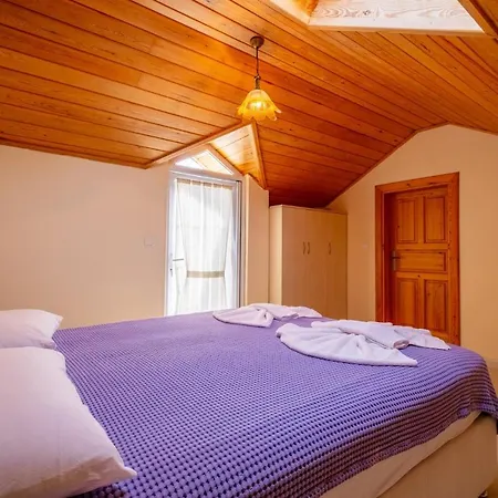 Sunday By Solo At Hisaroenue Center Holiday home